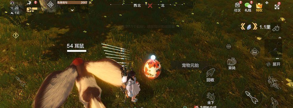 山海之谜（不可不知的游戏攻略与注意事项）
