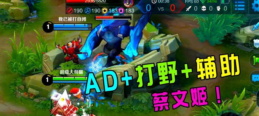 王者荣耀2024蔡文姬巨奶无敌出装攻略（超强输出技巧和最佳装备推荐）