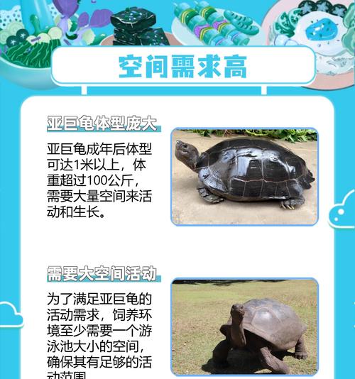 完美世界中哪种巨龟实力最强？巨龟实力对比如何？